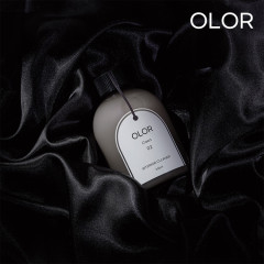 add_현대모비스 오로르 실내 클리너 500ml_20260121_339217.jpg